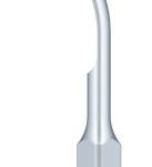 Woodpecker Tip G5 (EMS)